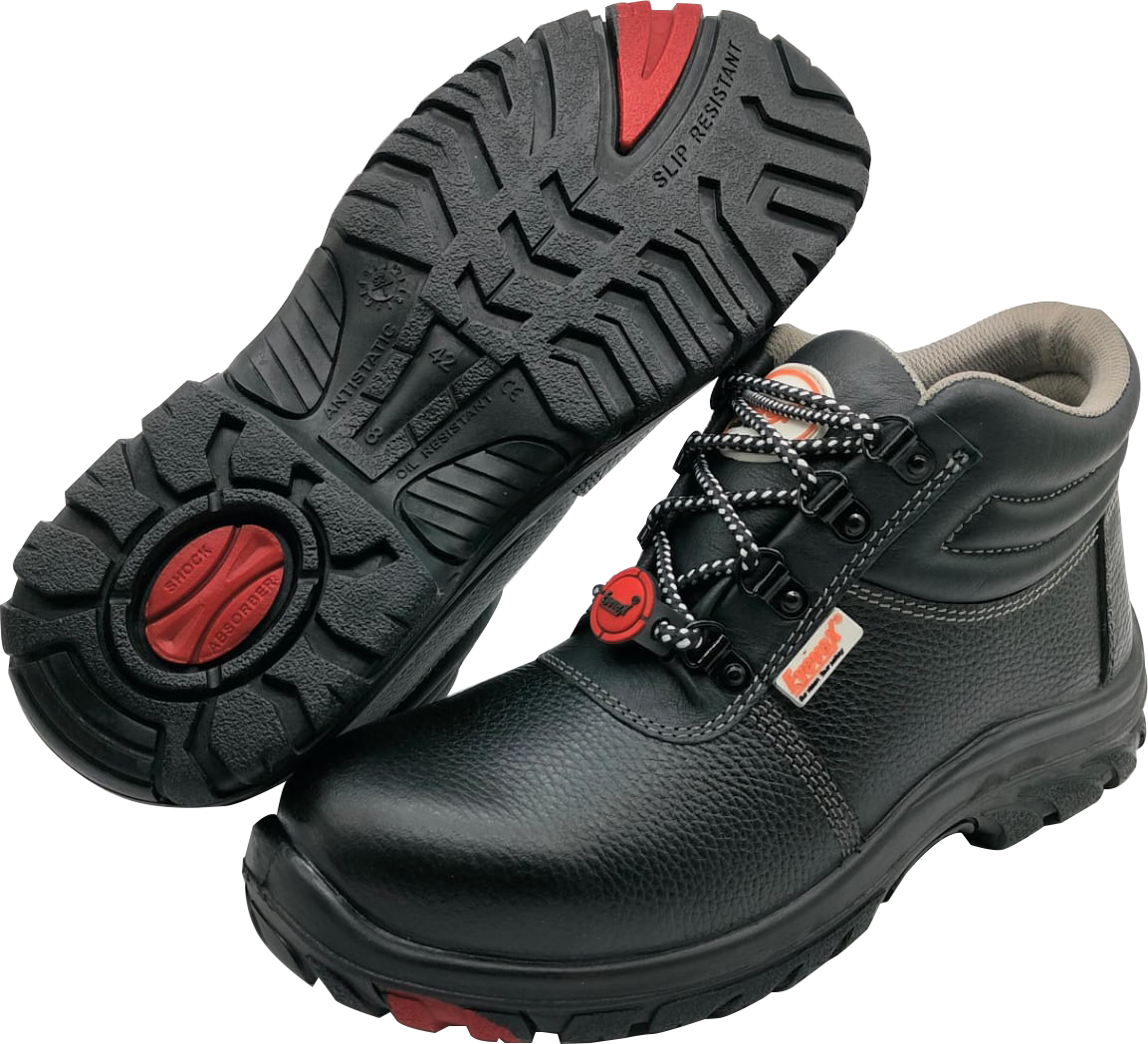 newmodel_1200x1092.png?v=